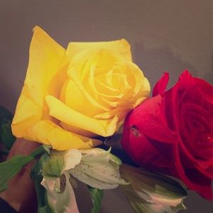 Meet your Posher, Sherley